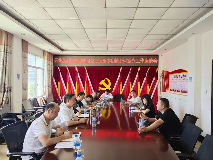 集团党委副书记、工会主席王鑫一行深入集团墟落振兴挂钩帮扶点寿山镇调研