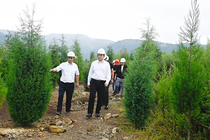 自然资源部矿产资源；；；ぜ嗍铀臼褂眉嗍哟Ω贝Τに镉莱恍械较确婷阂档餮新躺笊浇ㄉ枋虑