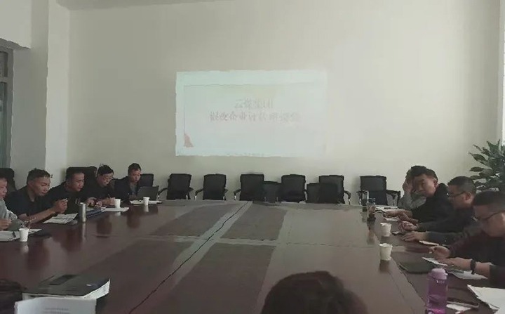 【聚焦云煤】云煤（esball世博）集团召开混淆所有制企业评估座谈会