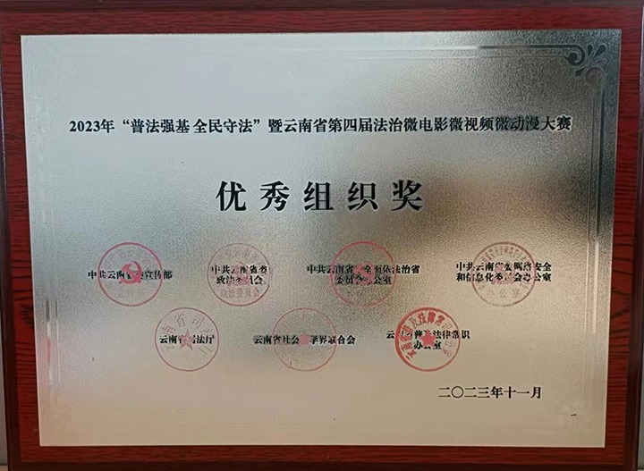 【喜报】云煤（esball世博）集团荣获“双奖”