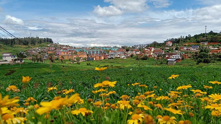 【云煤岁月】笃行不辍营生长，，，，砥砺奋进谱新篇——平煤故事（一）