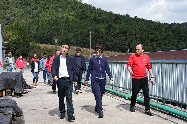 云南省国资委党委委员、副主任夏丽坤一行到云煤集团所属恩洪煤业公司开展现场督导调研