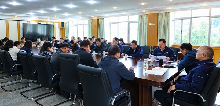 田坝煤矿公司召开2025年党建暨周全从严治党事情会